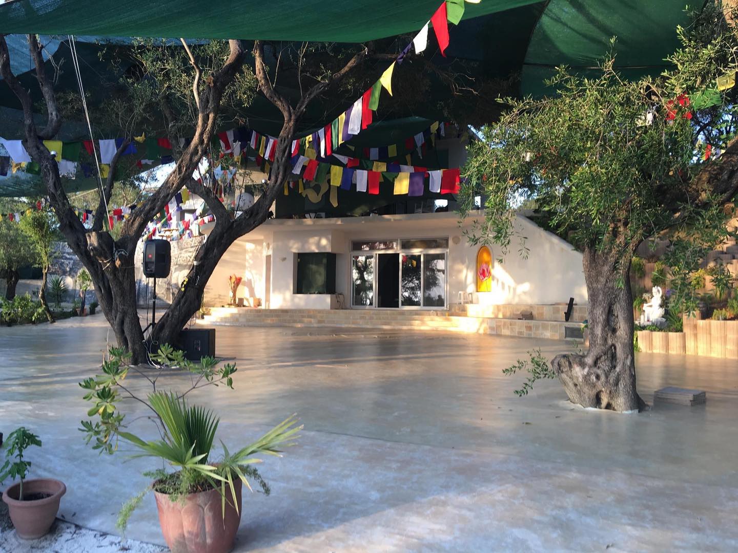 Gayatri Mandir’s open-air terrace under trees and colourful flags